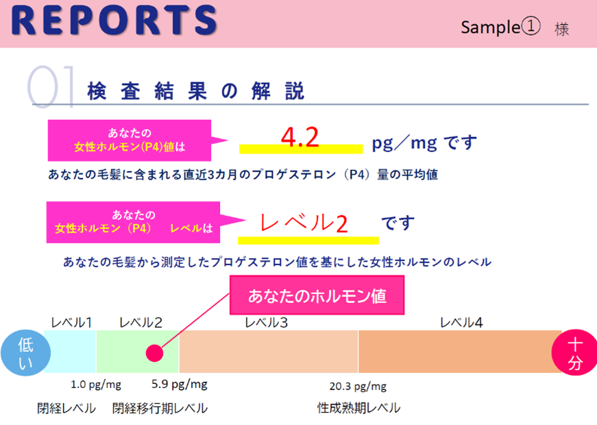 レポートイメージ