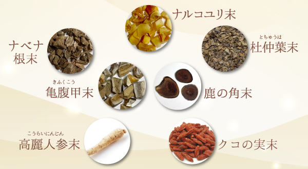「亀鹿二仙丸(きろくにせんがん)」に含まれる生薬