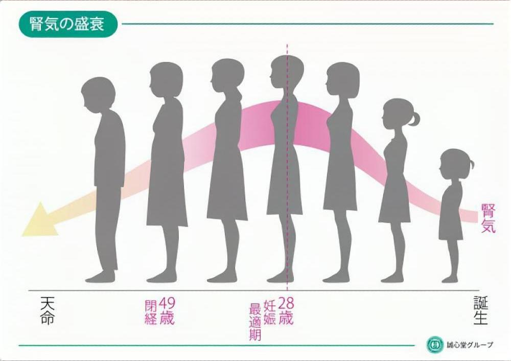 腎気の盛衰