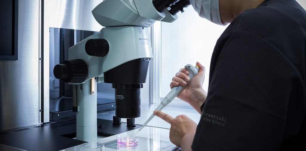 田園都市レディースクリニック 体外受精